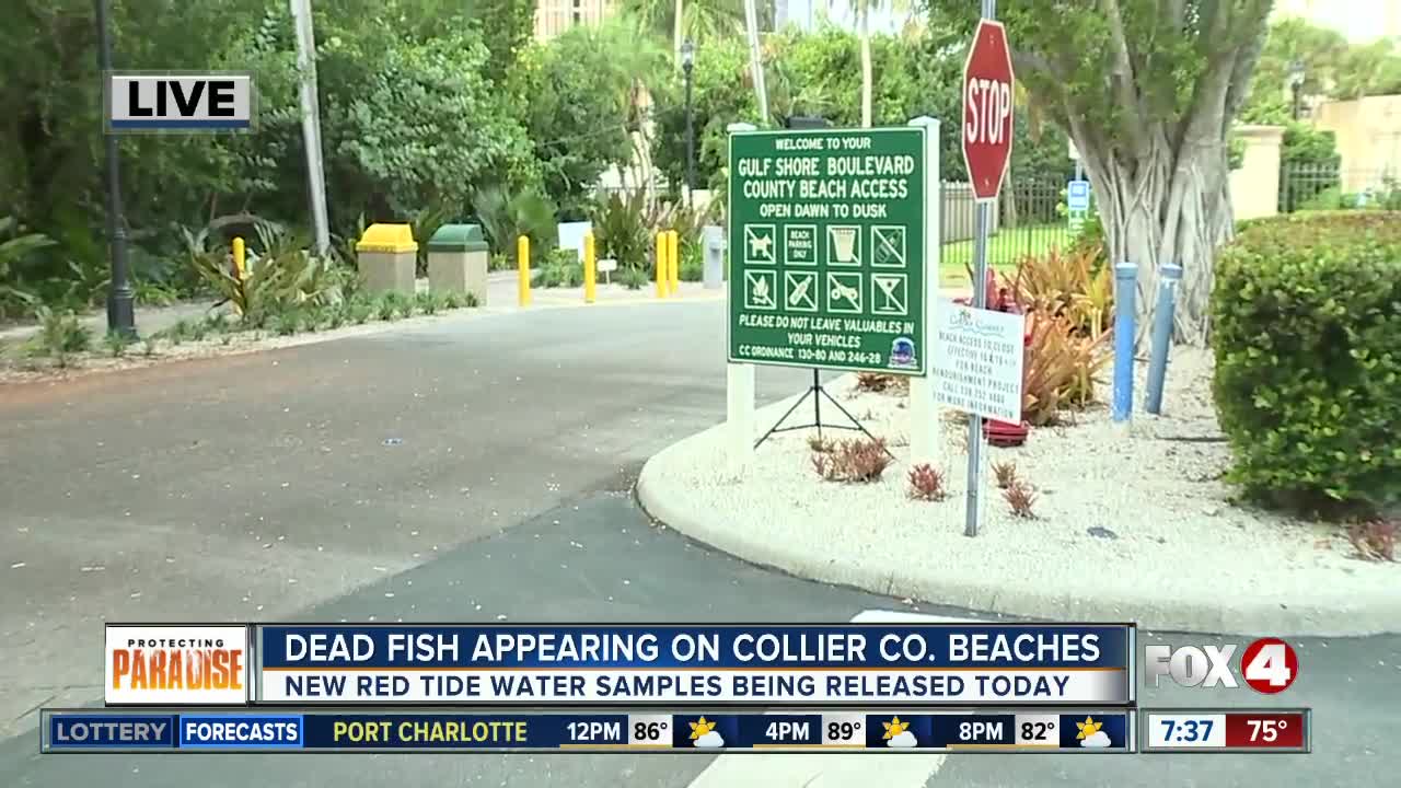 Collier County to sample beaches for red tide