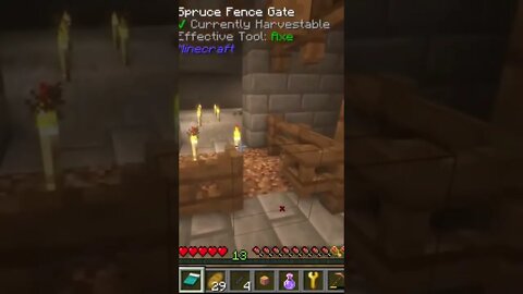 When it goes over her head #minecraft