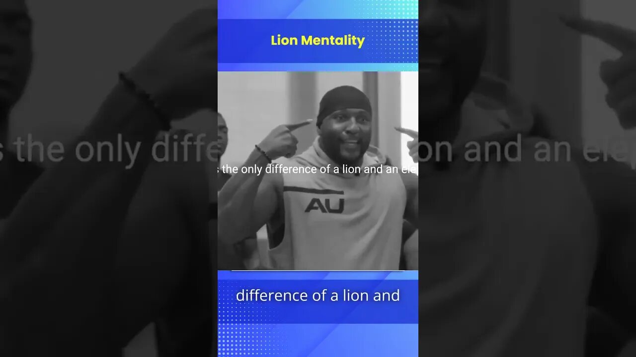 How Is The Lion is King Of Jungle, His Mentality