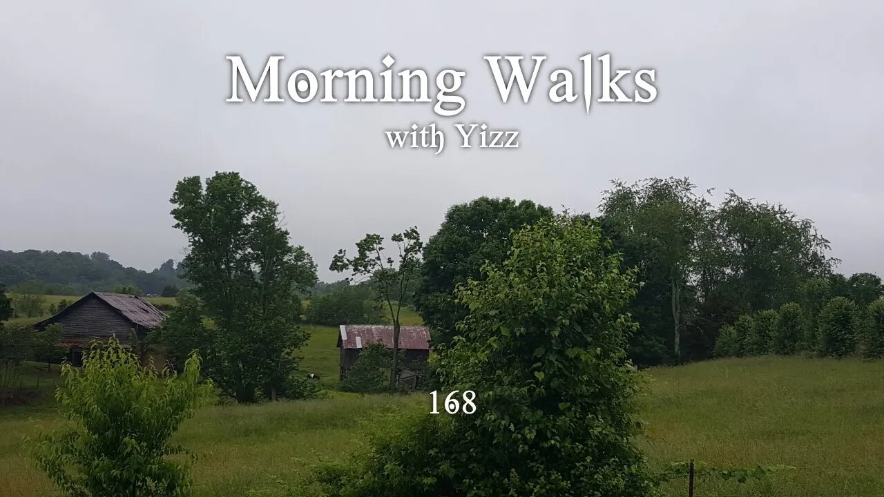 Morning Walks with Yizz 168 - Discrimination 101