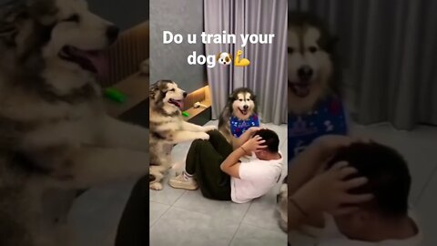 Gym Partner 🐶💪➡️ Do youwant to train your dog?🥹❤️ #puppy #dog #dogsofinstagram #puppylove #shorts