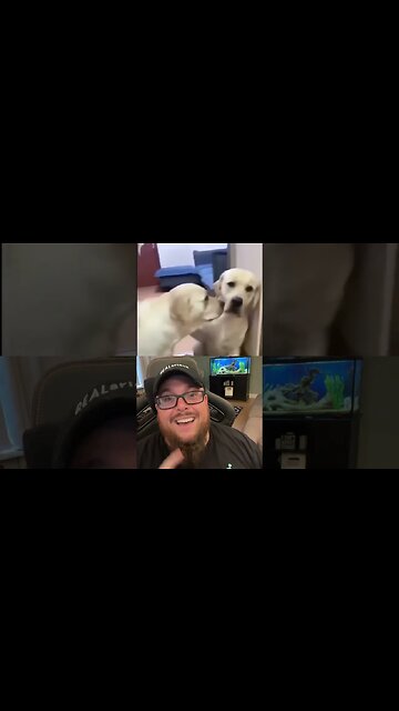 Here’s Your Dose of REALarious…🤣🤣🤣 #duet #funnycomedy #makeyoulaugh #funny #comedyfilms #comedy