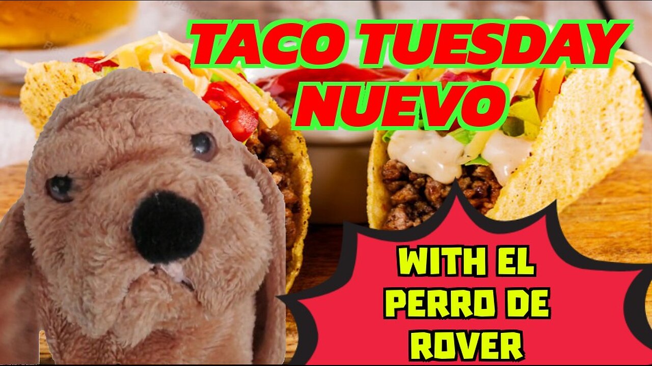 Taco Tuesday Nuevo | With El Perro De Rover