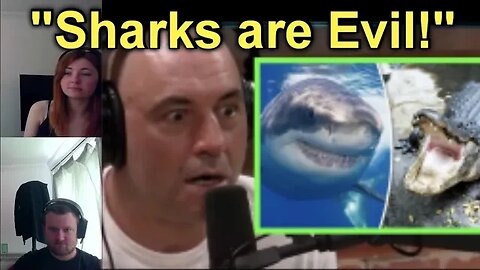 We REACT To Joe Rogan on SHARKS & Alligators