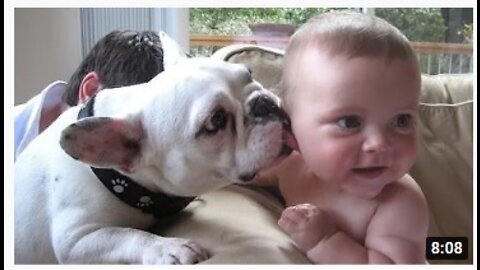 Funny Babies and Animals Video THE BEST Adorable Baby and Animals Compilation