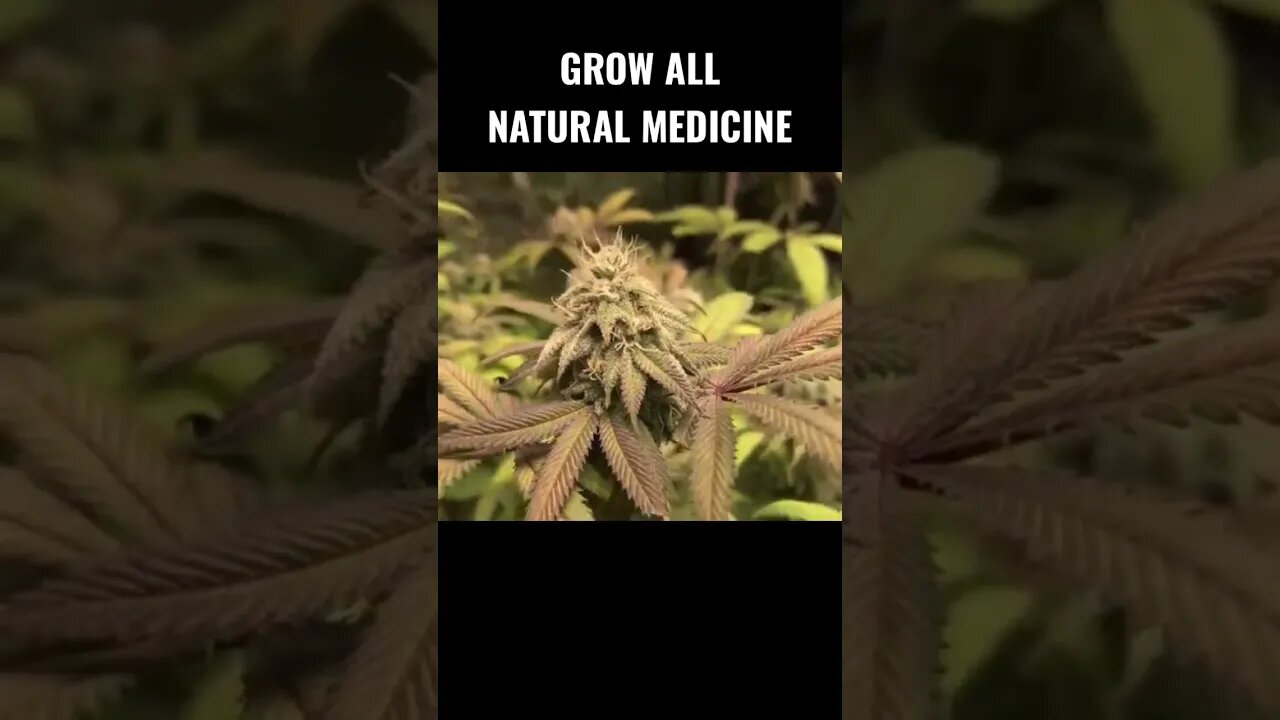#organic #medicine @ahole5407
