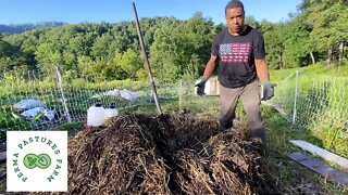 In-Depth Look at our 30 Day Compost