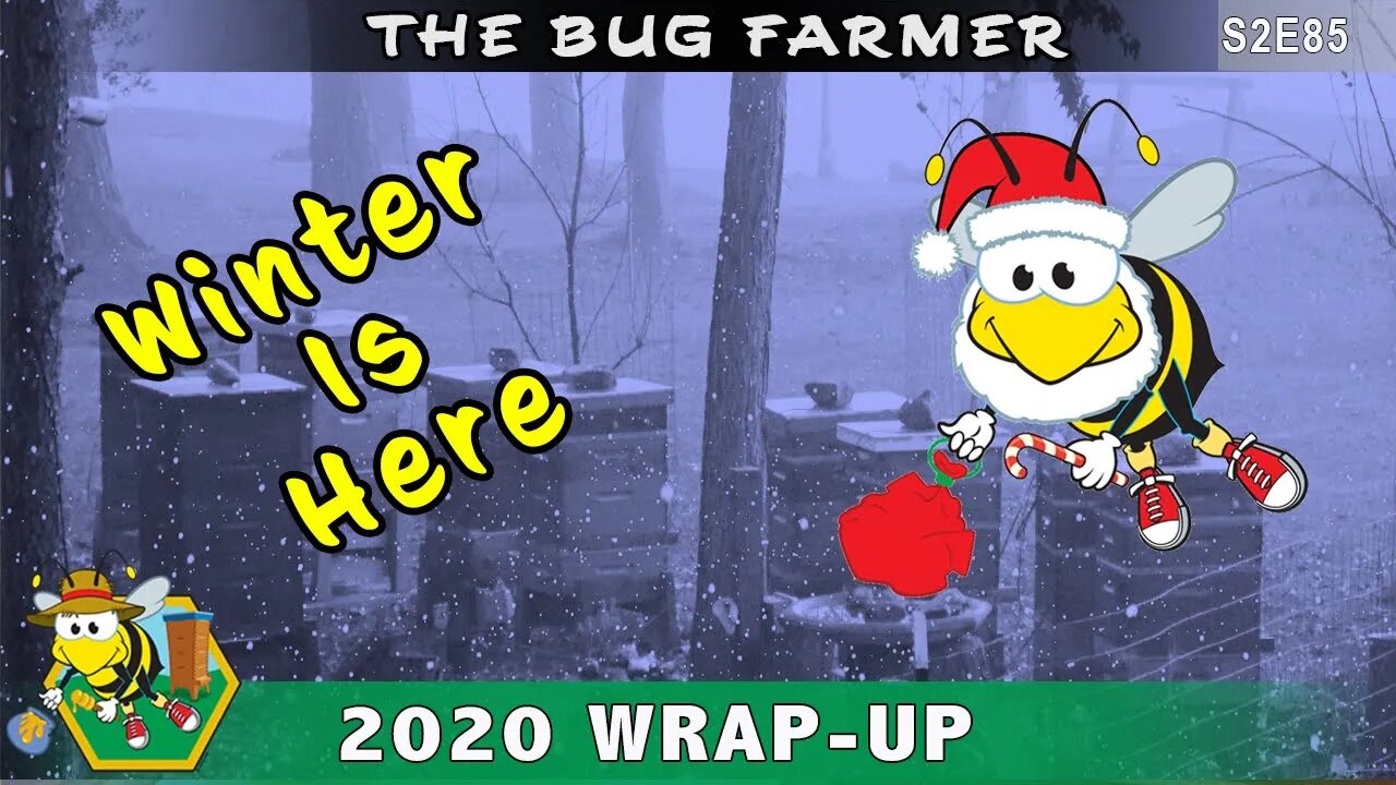 2020 Bee Season Wrap Up: Thank You, Shout outs, Review, Stings, Leaderboard Winner!