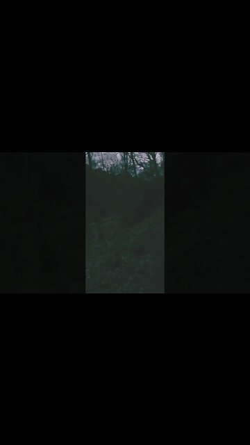 Snow Day (the snow melted)