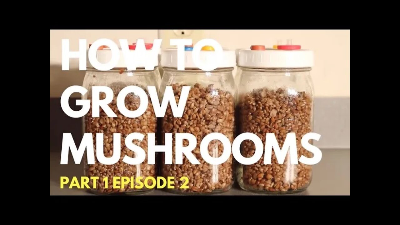 How To Prepare Rye Spawn Jars | How To Grow Mushrooms | Part 1