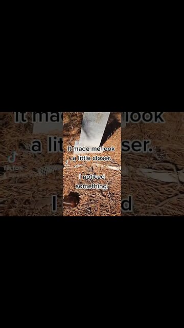 Looking back on some videos I noticed something #young #rip #gonetoosoon #cemetery #memorial