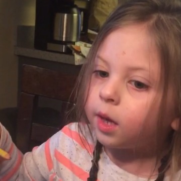 A Little Girl Blames The Door For Eating Cookies