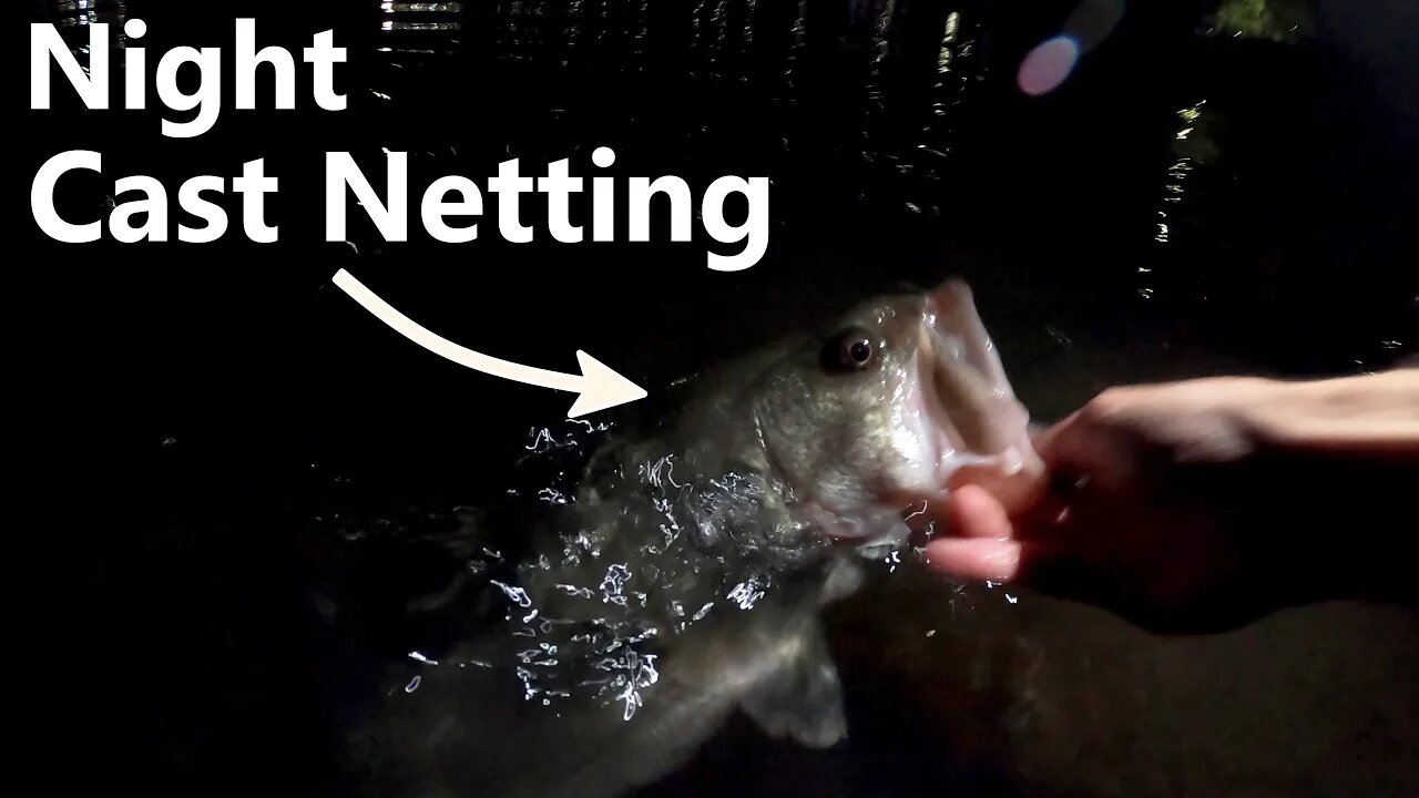 Big Surprise Cast Netting in the Tennessee River