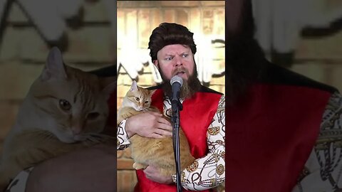 Standup Comedy For Cats II #shorts #funny #standupcomedy #cat #dog