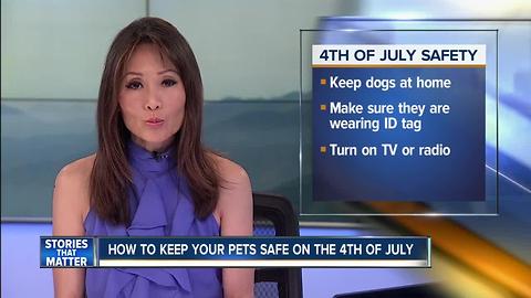 How to keep your 4-legged friends safe this 4th