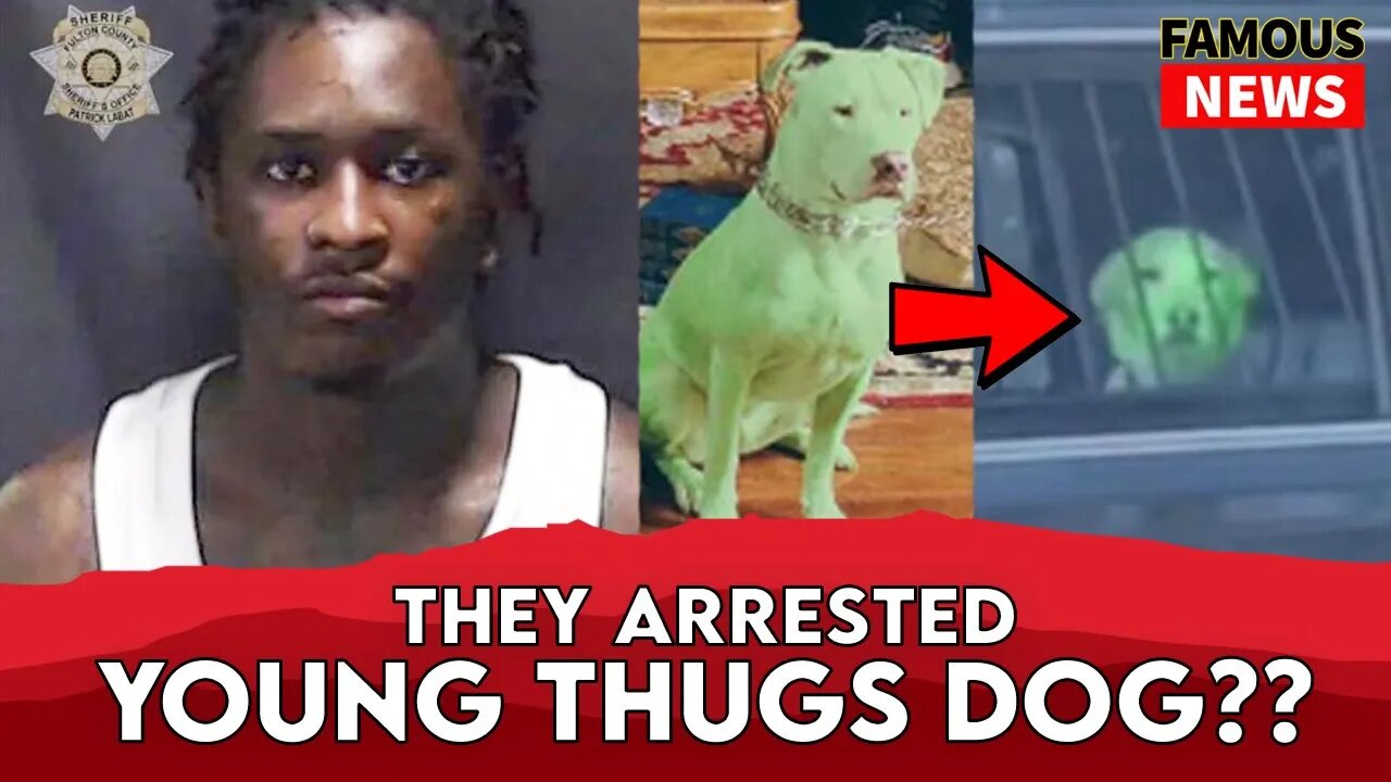 They Arrested Young Thugs Dog!!! Who Is A Member Of YSL ? | Famous News