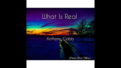 What Is Real by Anthony Cobb