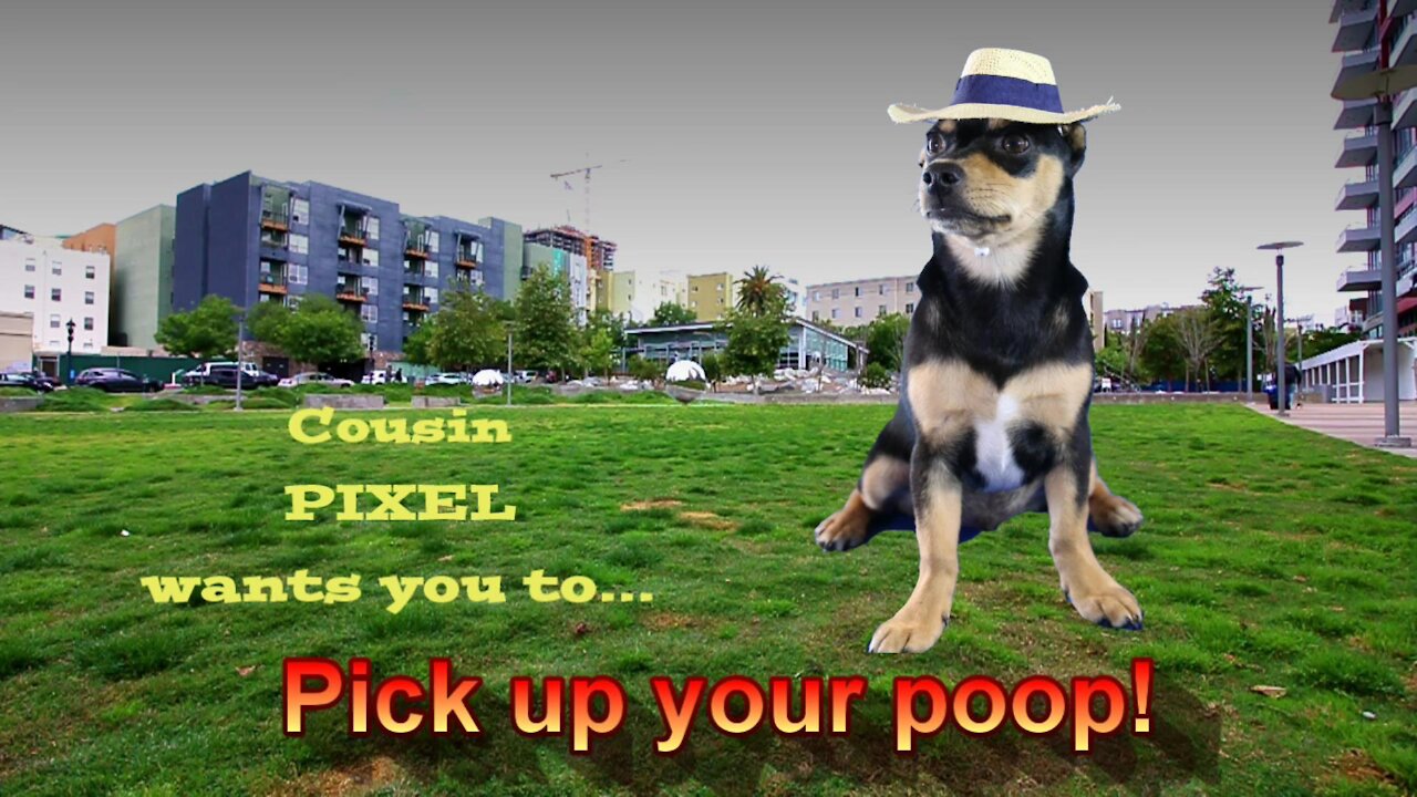 Pick up your poop!