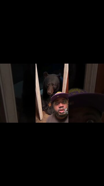 Bernie Mac Black 🐻