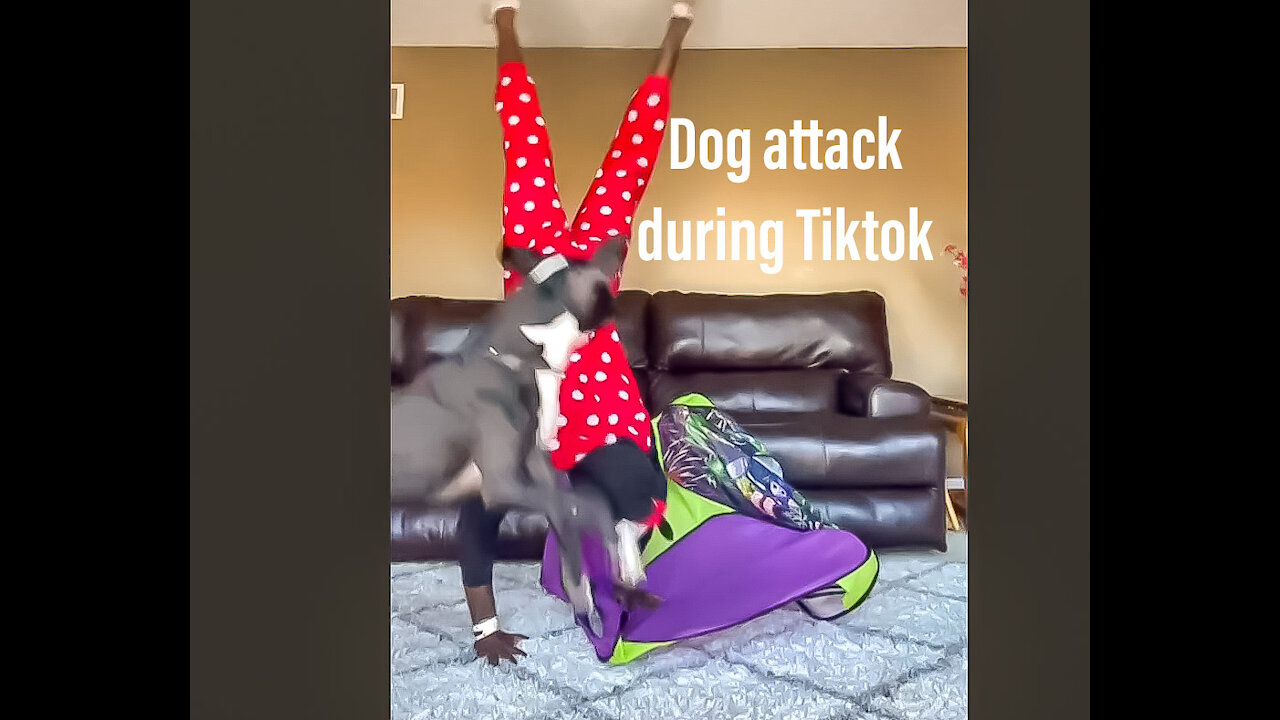 Dog attacks owner during a Tik Tok live