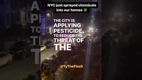 This was weird NEW YORK CITY PULVERISING HOME