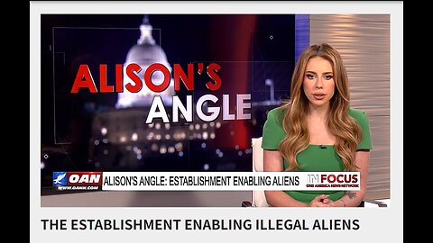 THE ESTABLISHMENT ENABLING ILLEGAL ALIENS