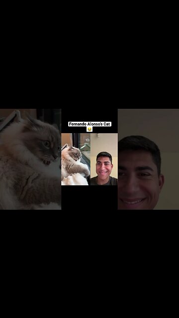 @astonmartin F1 Contract next Year?!?