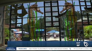 Birch Aquarium reopening Saturday