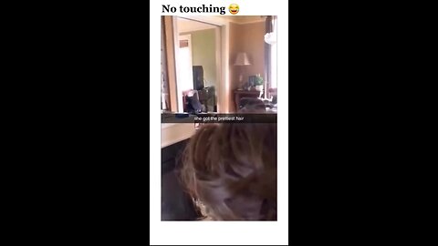Funny Cat clip
