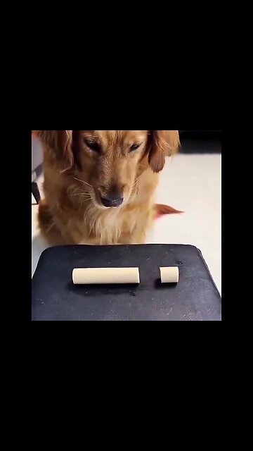 Sharing is caring.. 😊