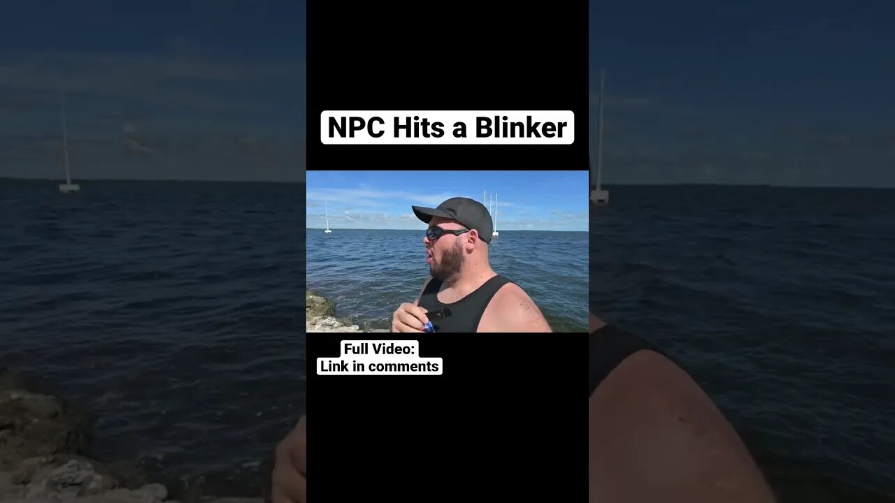 NPC Hits a Blinker #shorts