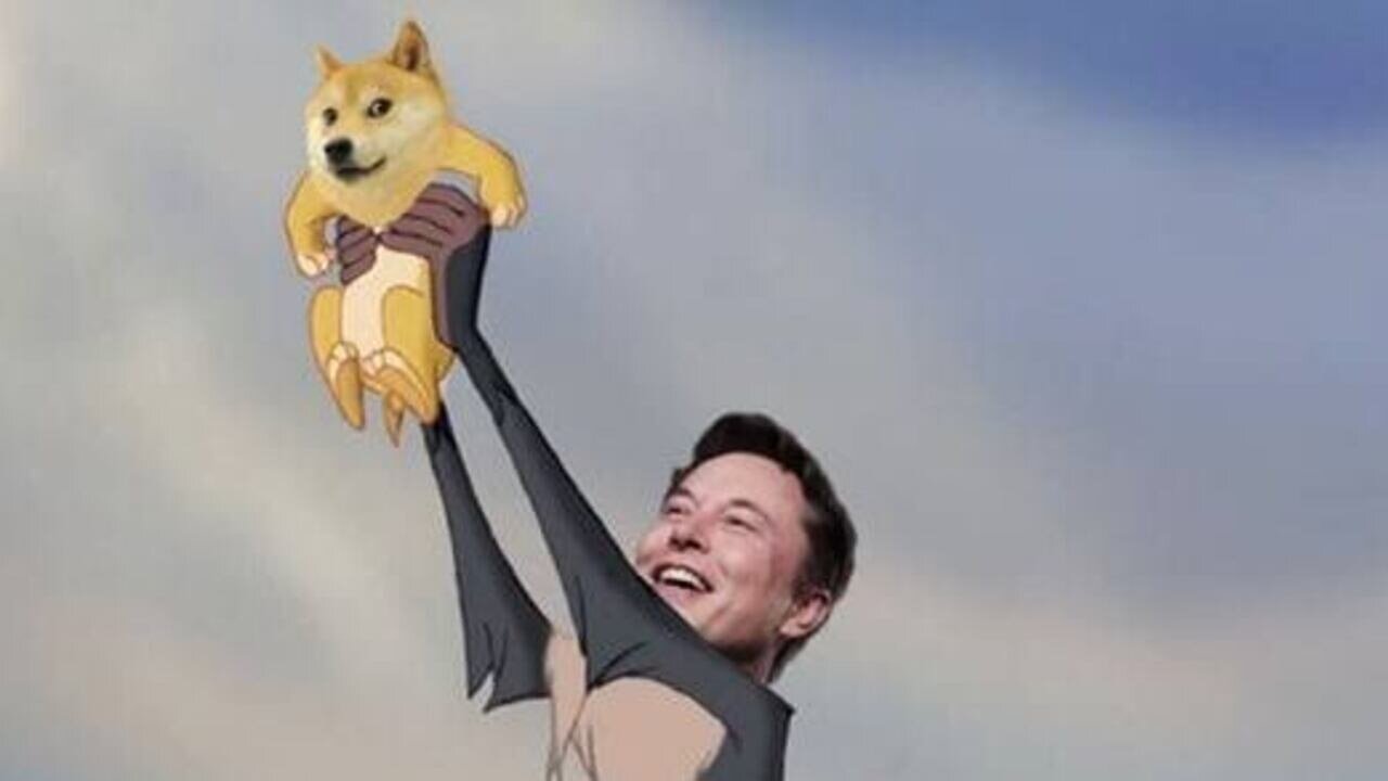 ELON GOES HIGH ON DOGECOIN