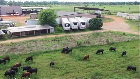 2-FreezerExpansionProject.mp4