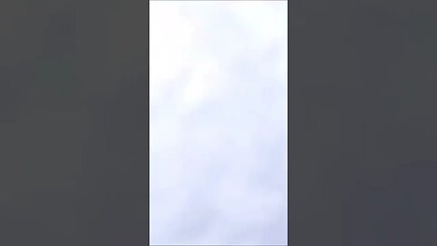 Hitting a dog on a HUGE waterslide