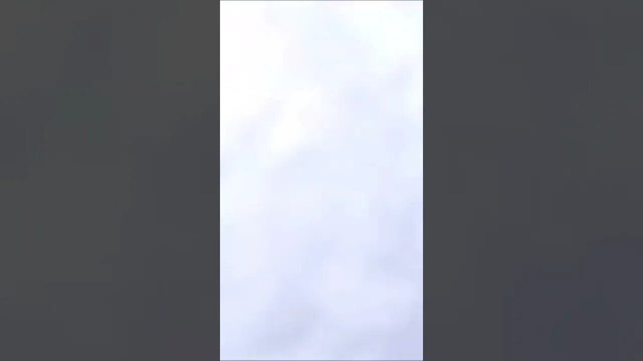 Hitting a dog on a HUGE waterslide