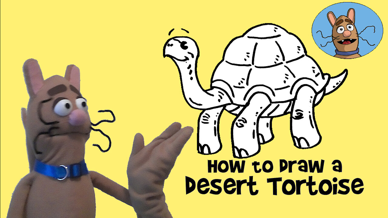 How to Draw a Desert Tortoise