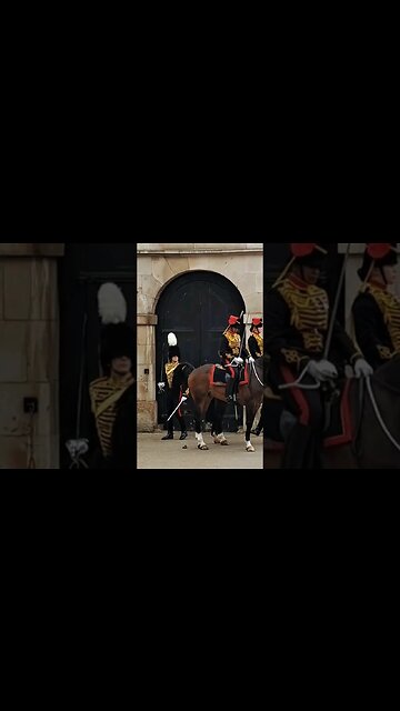 Horse drops one on inspection #horseguardsparade