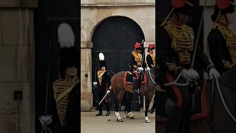 Horse drops one on inspection #horseguardsparade