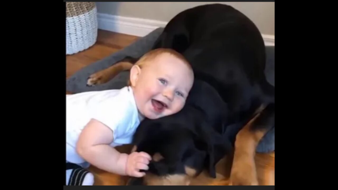 BEST ANIMALS FUNNY FAILS COMPILATION 😂😂