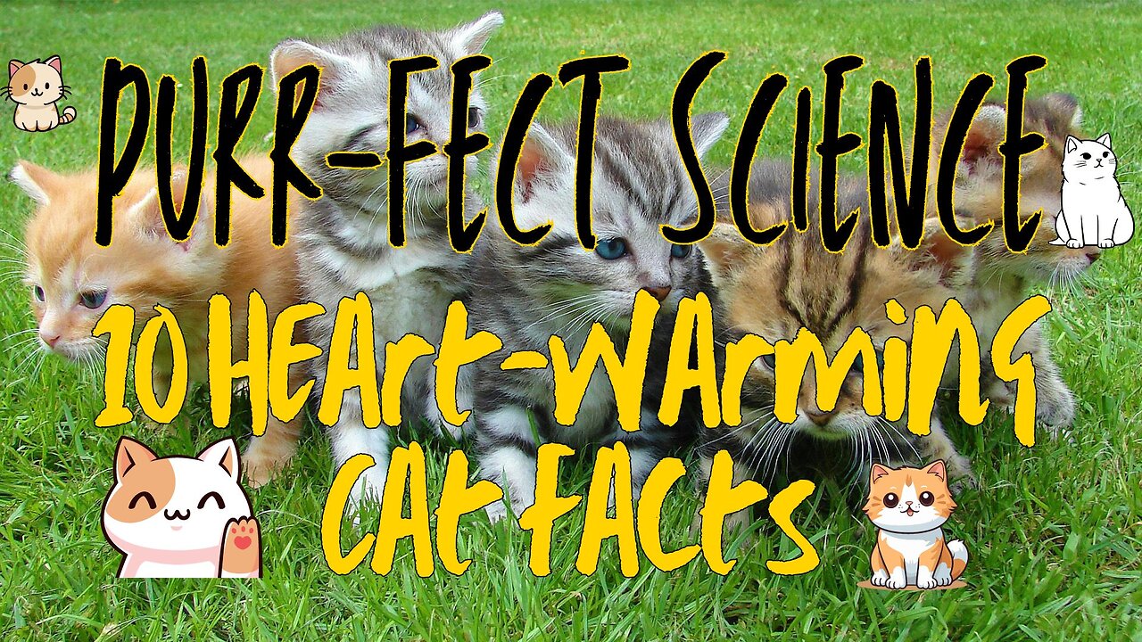 Purr-fect Science: 10 Heart-warming Cat Facts