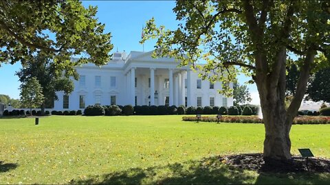 LIVE: Walking around Washington in the Autumn