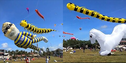Kite festival