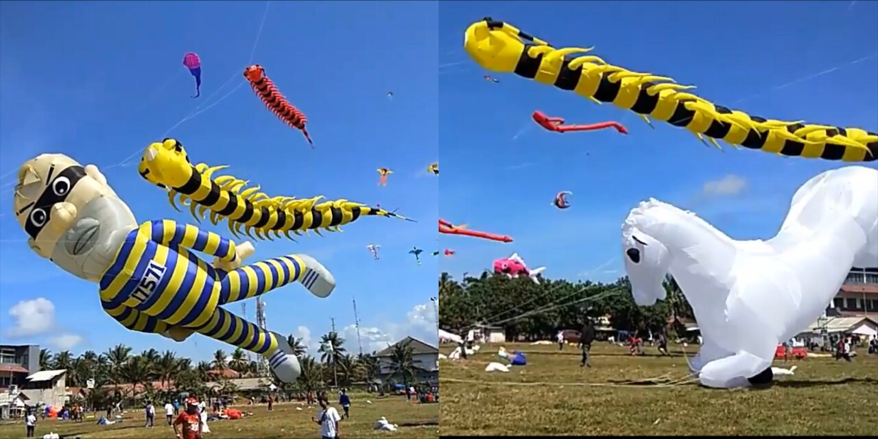 Kite festival