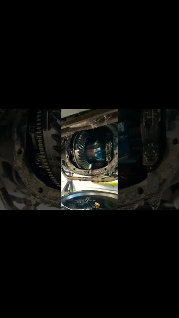 Worst smell in the world.