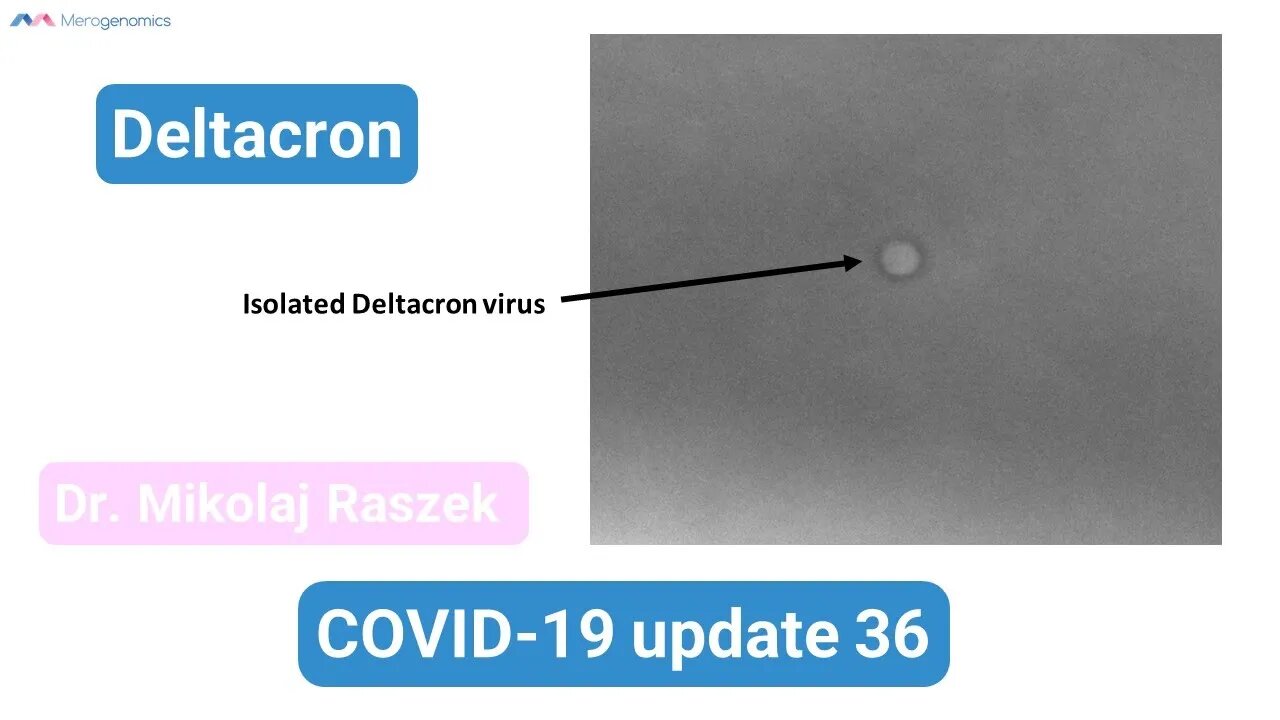 Deltacron - COVID-19 update 36