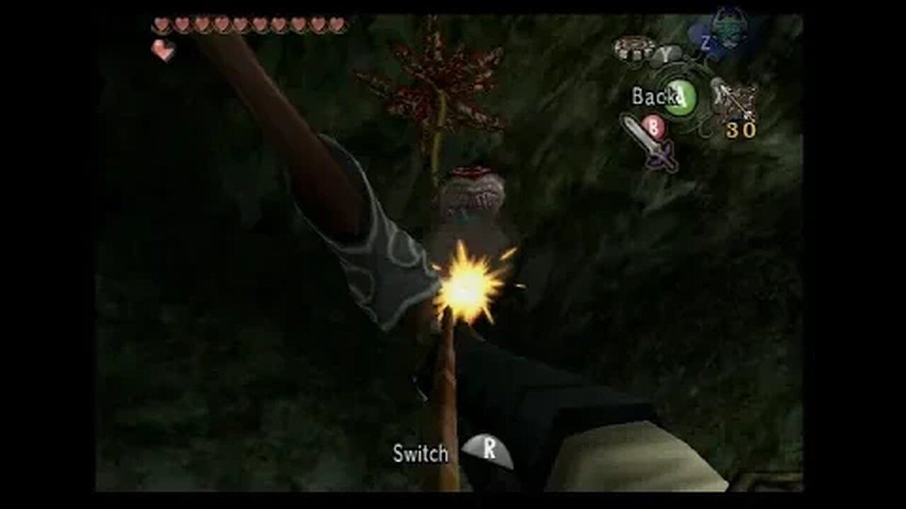 The Legend of Zelda Twilight Princess 100% GC #21 Sacred Grove (No Commentary)