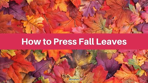 How to Press: Fall Leaves