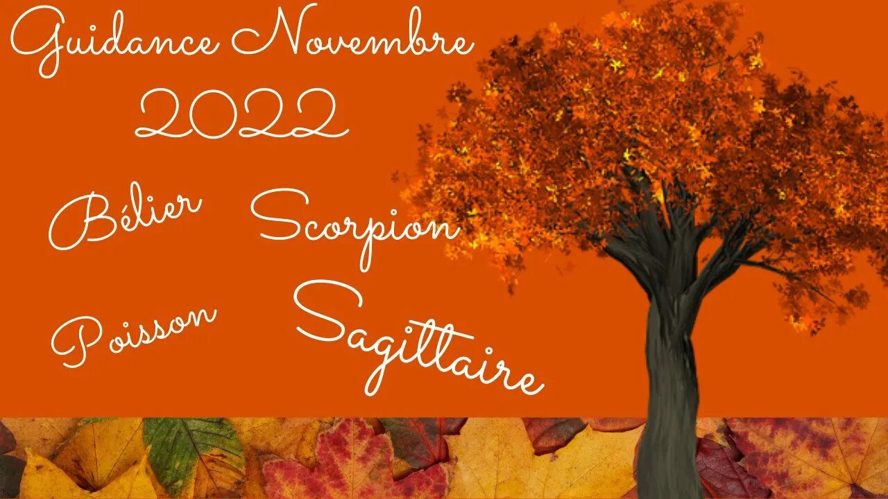 GUIDANCE DU MOIS DE NOVEMBRE (suite) : #belier #sagittaire #poisson #scorpion