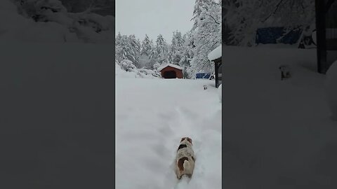 The Aftermath.. ❄️🌨️