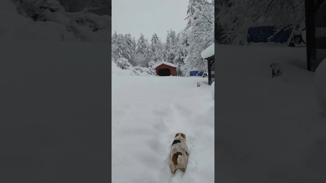 The Aftermath.. ❄️🌨️